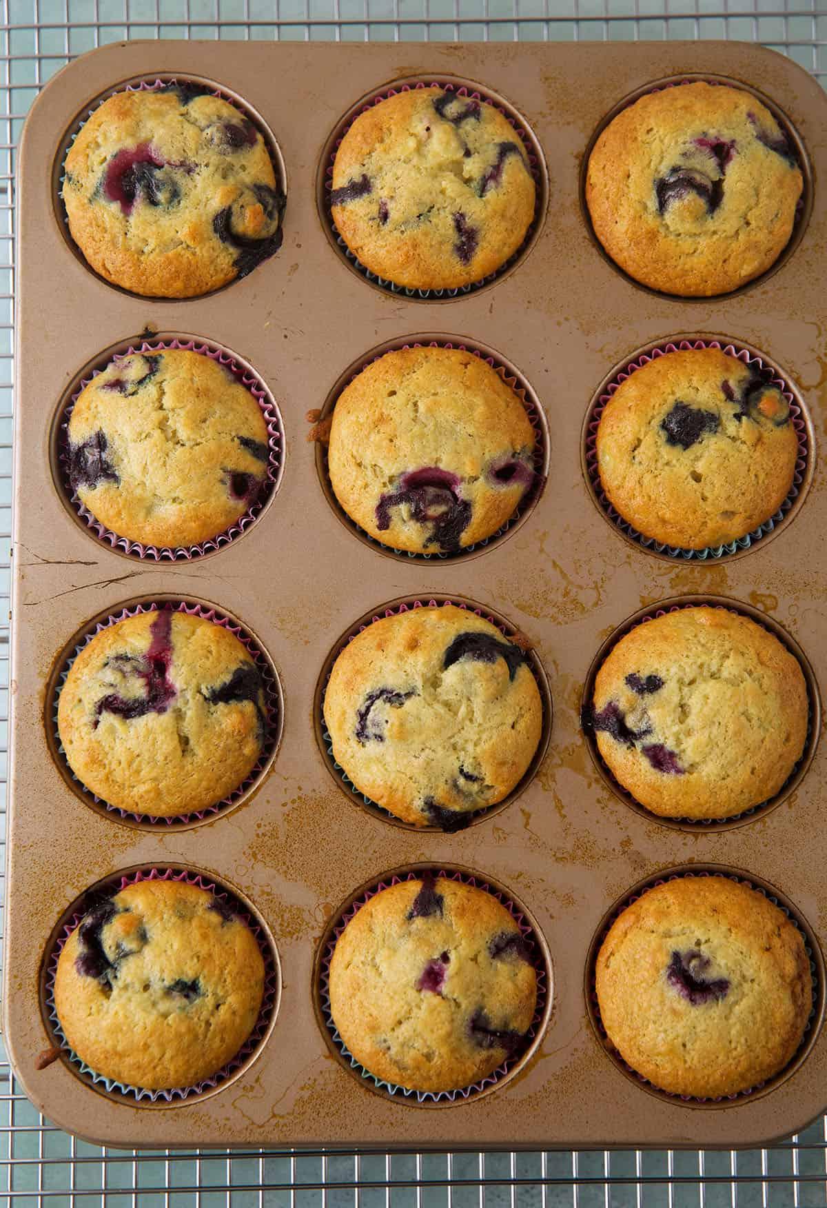 Muffin ai Mirtilli e Banana 4 Muffin banana e mirtilli nella teglia