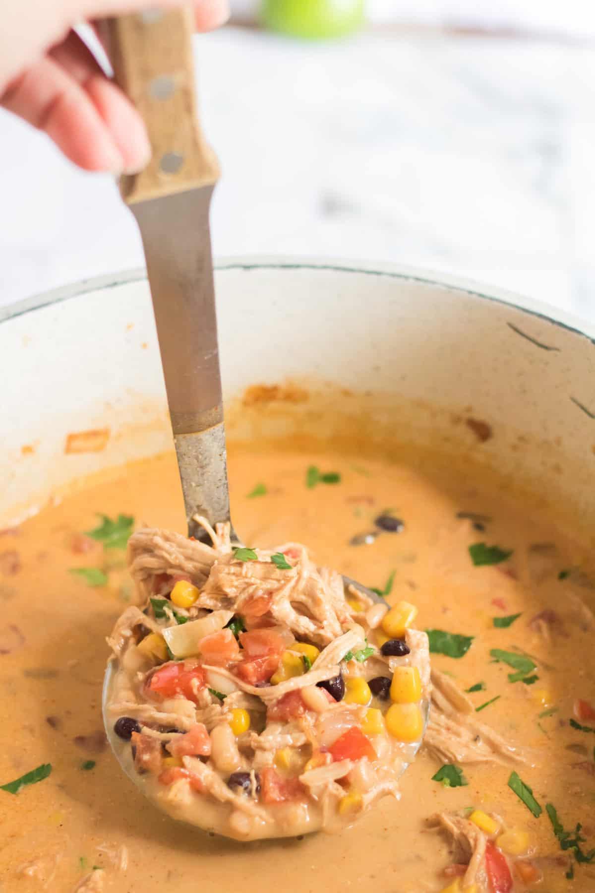 Zuppa di Tortilla al Pollo 4 A ladle is removing a large portion of soup from the pot.