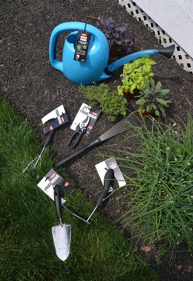 Consigli per il Giardinaggio di Erbe Aromatiche per Principianti | The Suburban Soapbox #herbgardening #OXOSpringGardening
