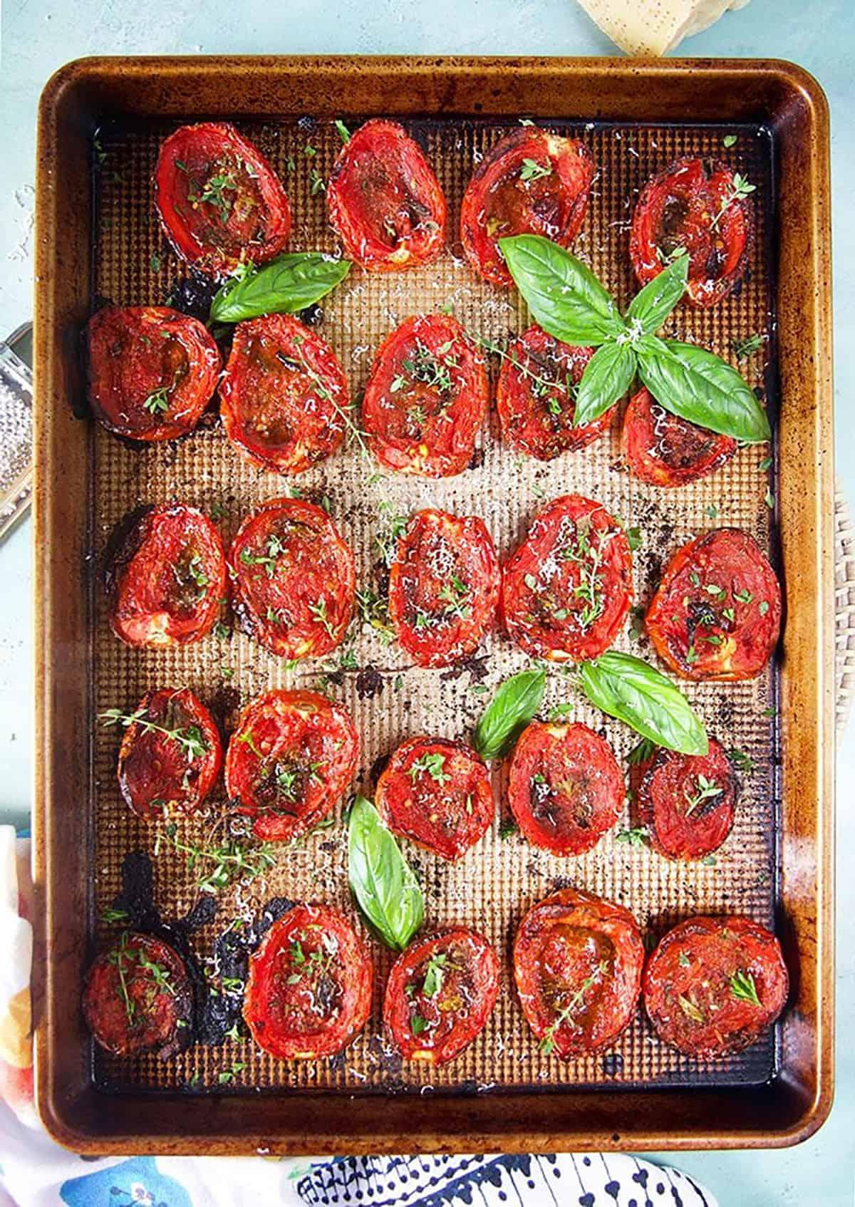 **Pomodori Arrostiti al Forno Facili** 6 Pomodori arrostiti al forno su una teglia con basilico ed erbe aromatiche, pronti per essere serviti.