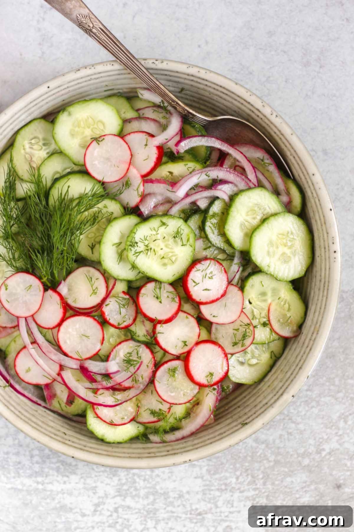 Cucumber radish salad in a serving bowl with red onion and sprigs of fresh dill.
