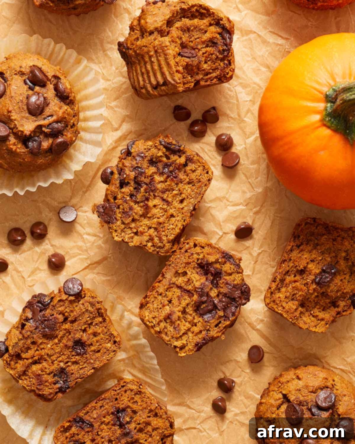 Pumpkin banana muffins arranged on brown parchment paper with chocolate chips surrounding them.