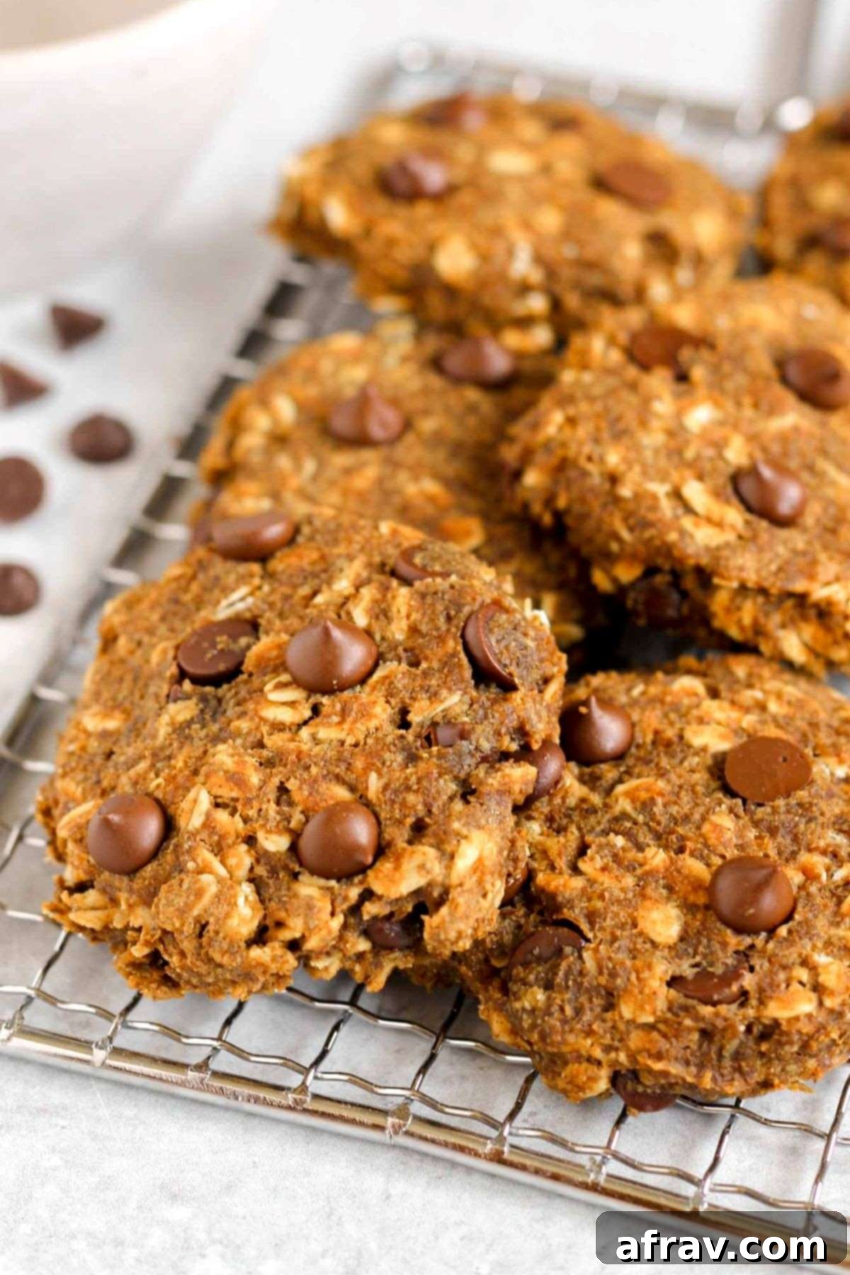 Grab-and-Go Pumpkin Breakfast Cookies 2 Soft and chewy pumpkin breakfast cookies with chocolate chips on a wire cooling rack, ready to be enjoyed.