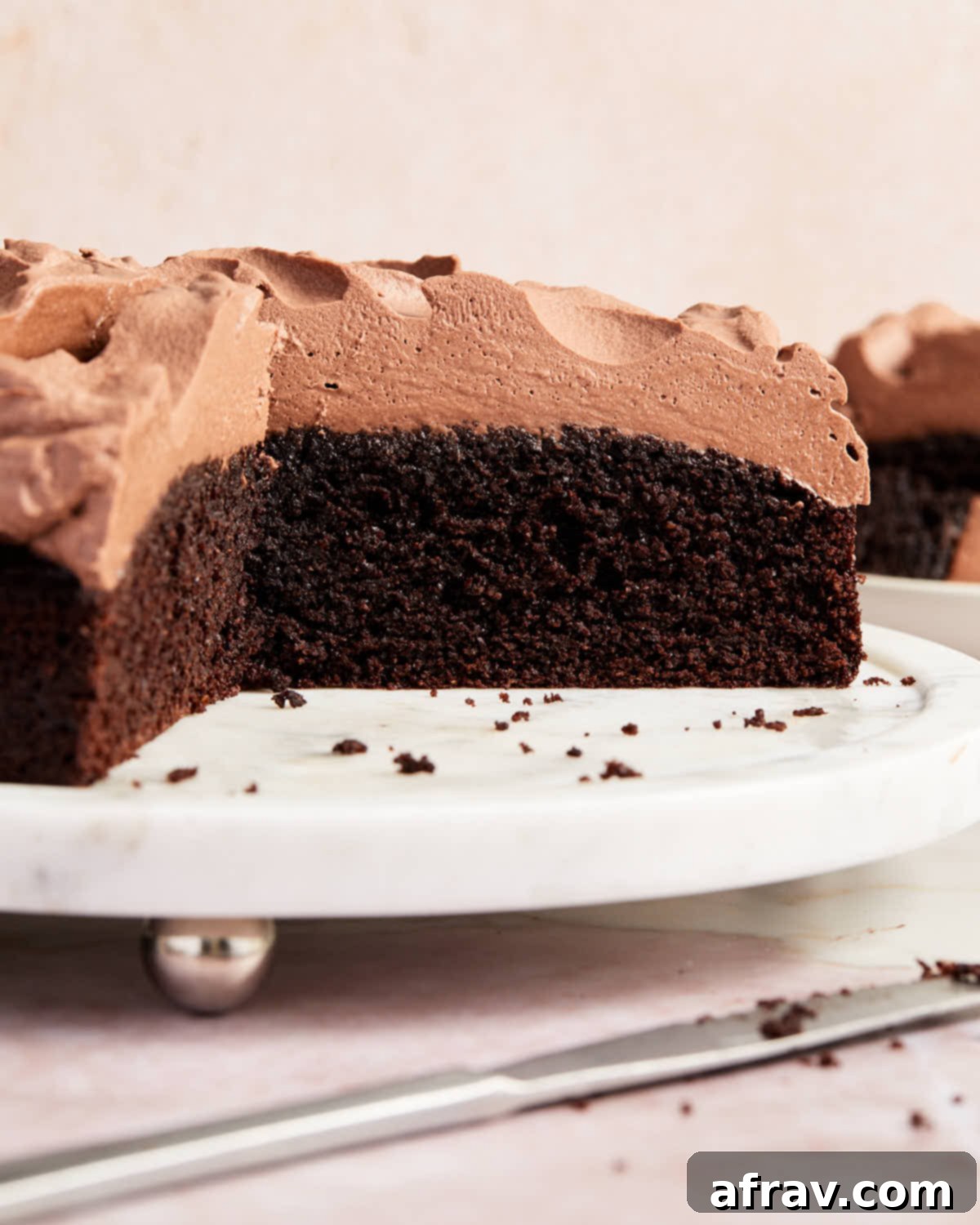 Side view of a perfectly cut slice of almond flour chocolate cake on a white cake plate, showing its layers and frosting.