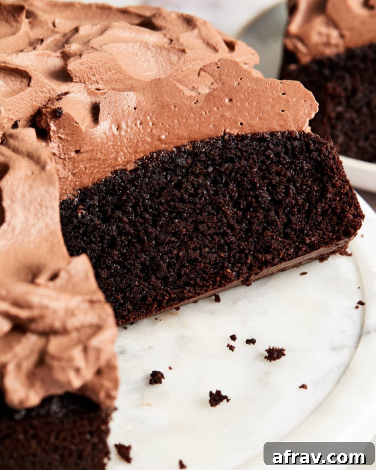 Close up view of a slice of moist almond flour chocolate cake with dairy-free whipped cream frosting.