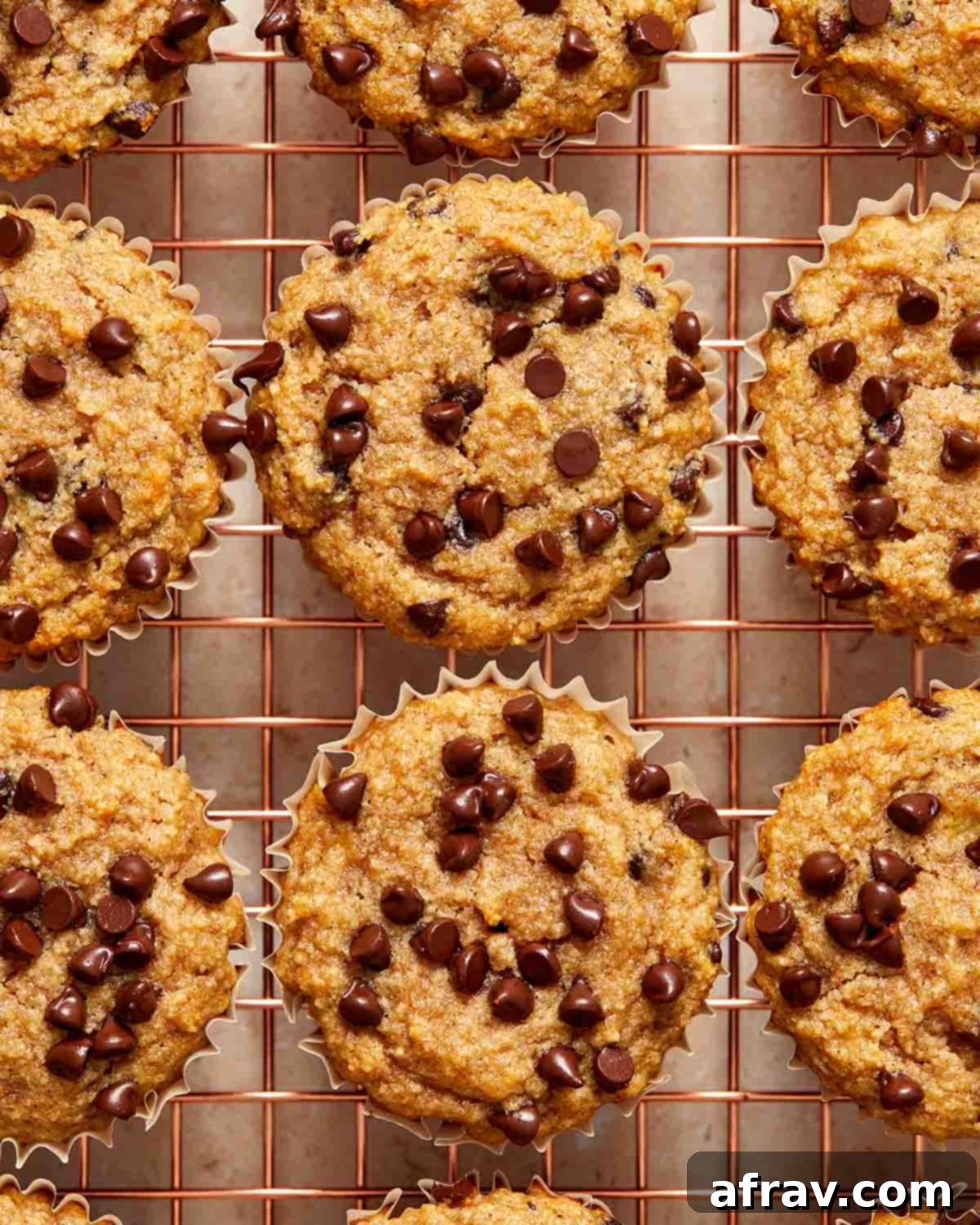 Irresistible Almond Flour Banana Muffins 5 Overhead view of banana muffins topped with chocolate chips and cooling on a wire rack.