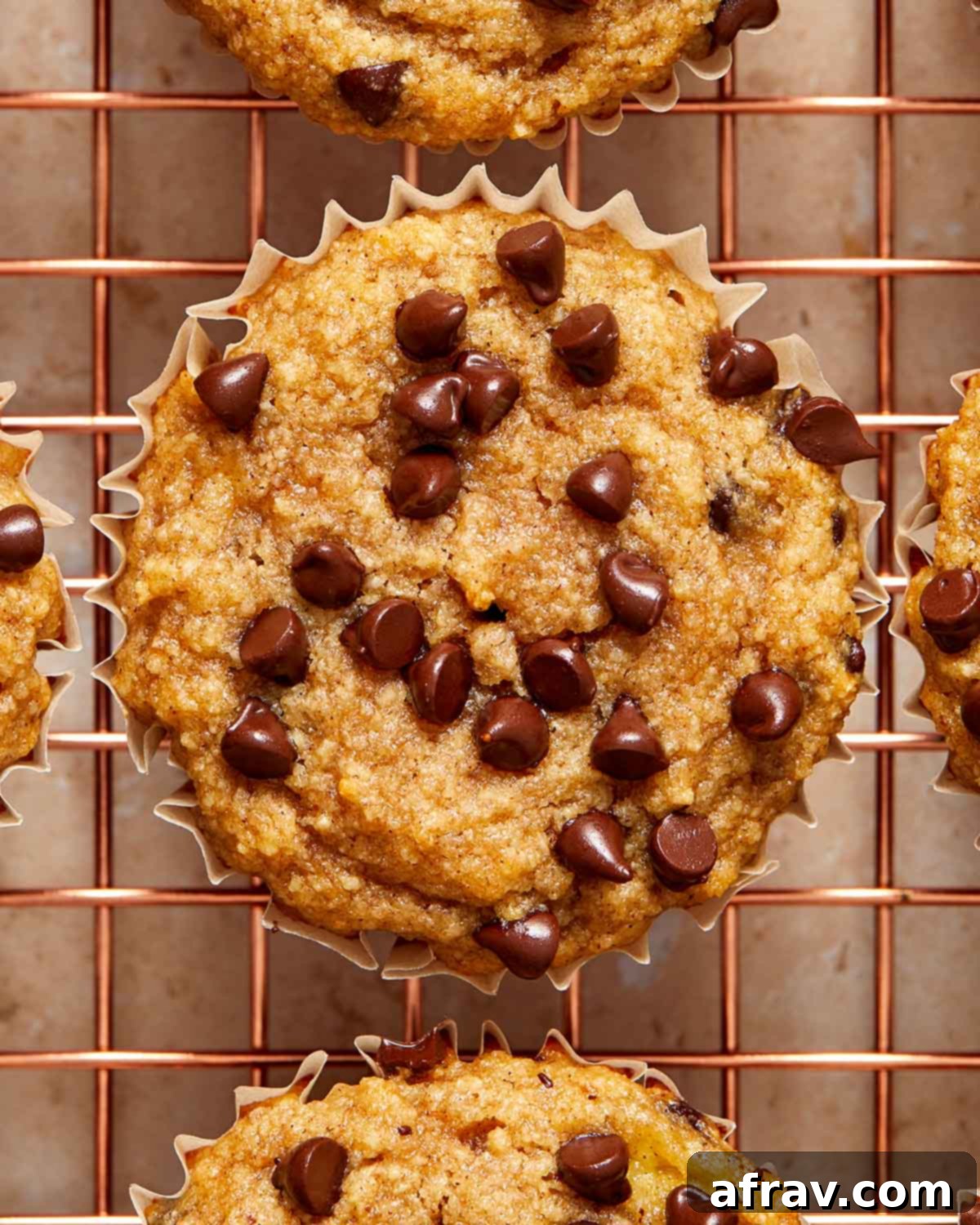 Irresistible Almond Flour Banana Muffins 6 Close up view of an almond flour banana muffin topped with mini chocolate chips.