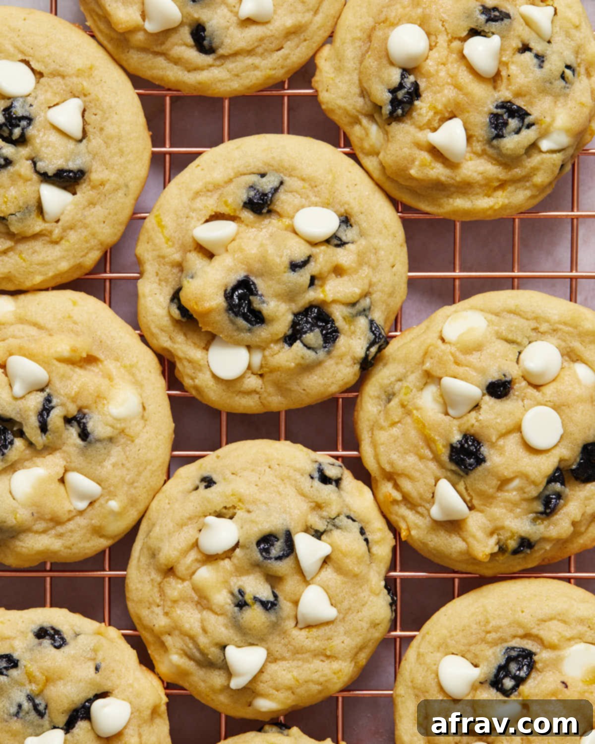 Close-up of cookies made with dried blueberries cooling on a rack, showing their intact form and even distribution.