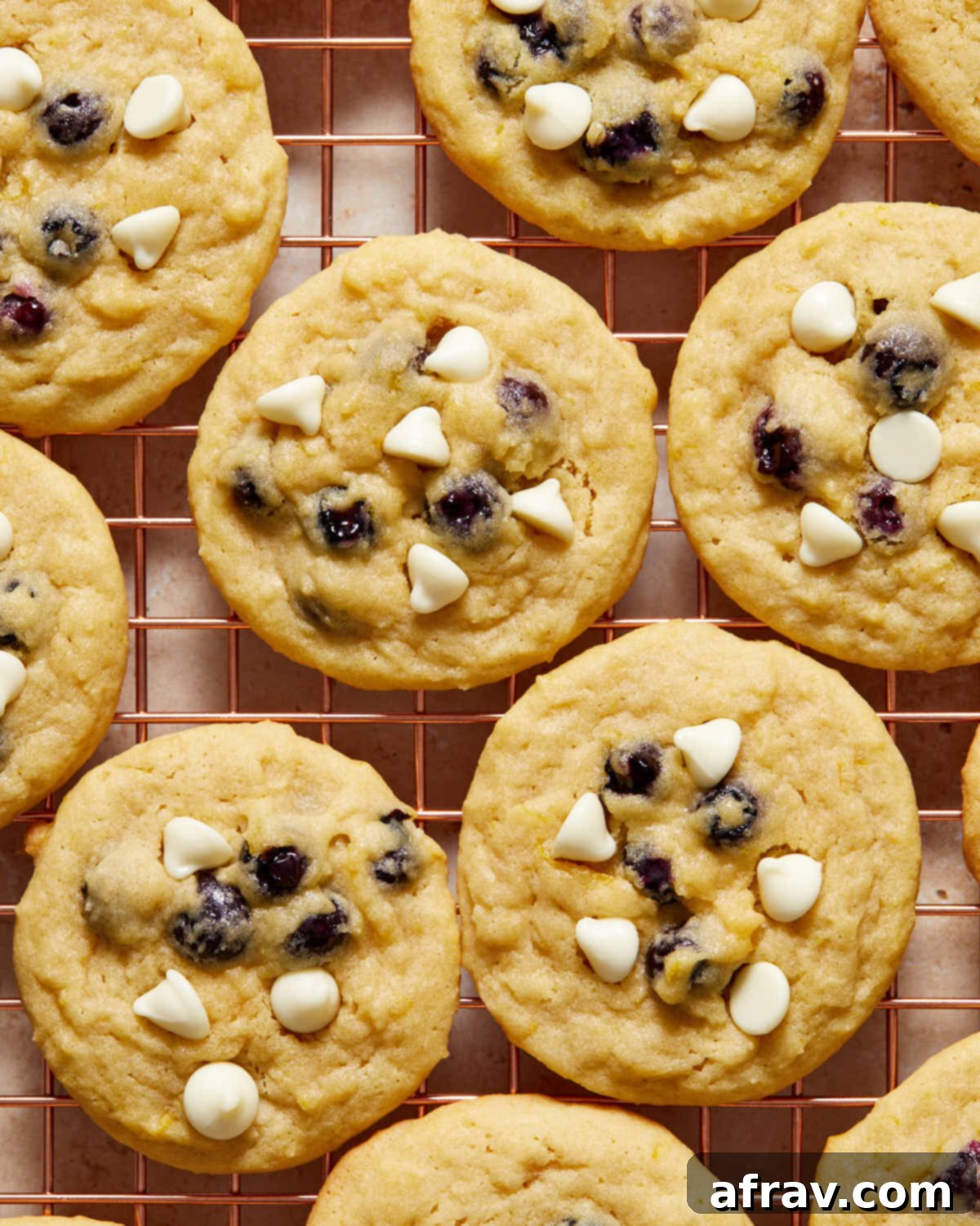 Close-up of cookies made with fresh blueberries cooling on a rack, appearing slightly puffier with visible berry sections.