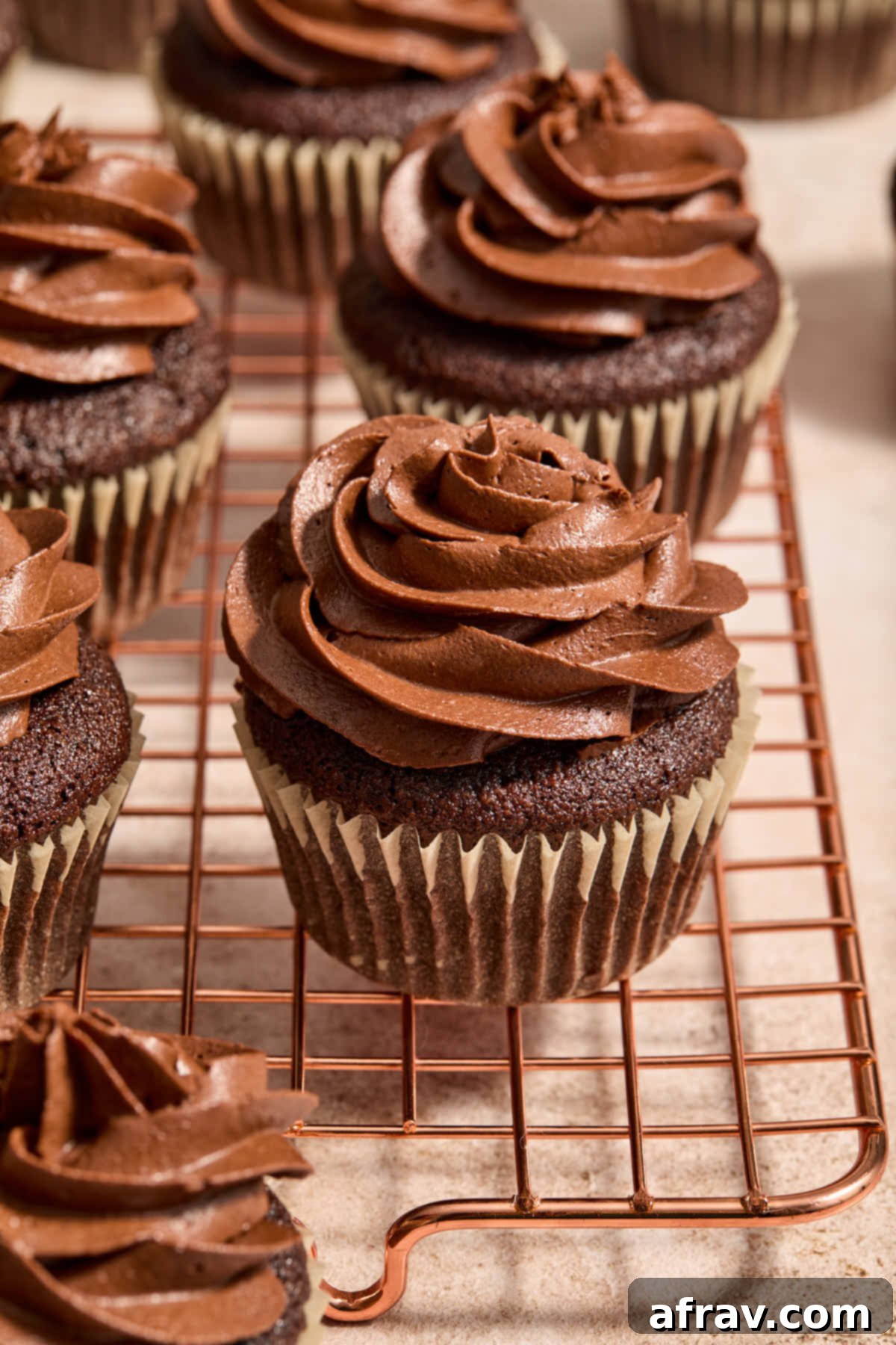 A selection of chocolate cupcakes, each topped with a generous swirl of chocolate peanut butter buttercream frosting, ready to be enjoyed.