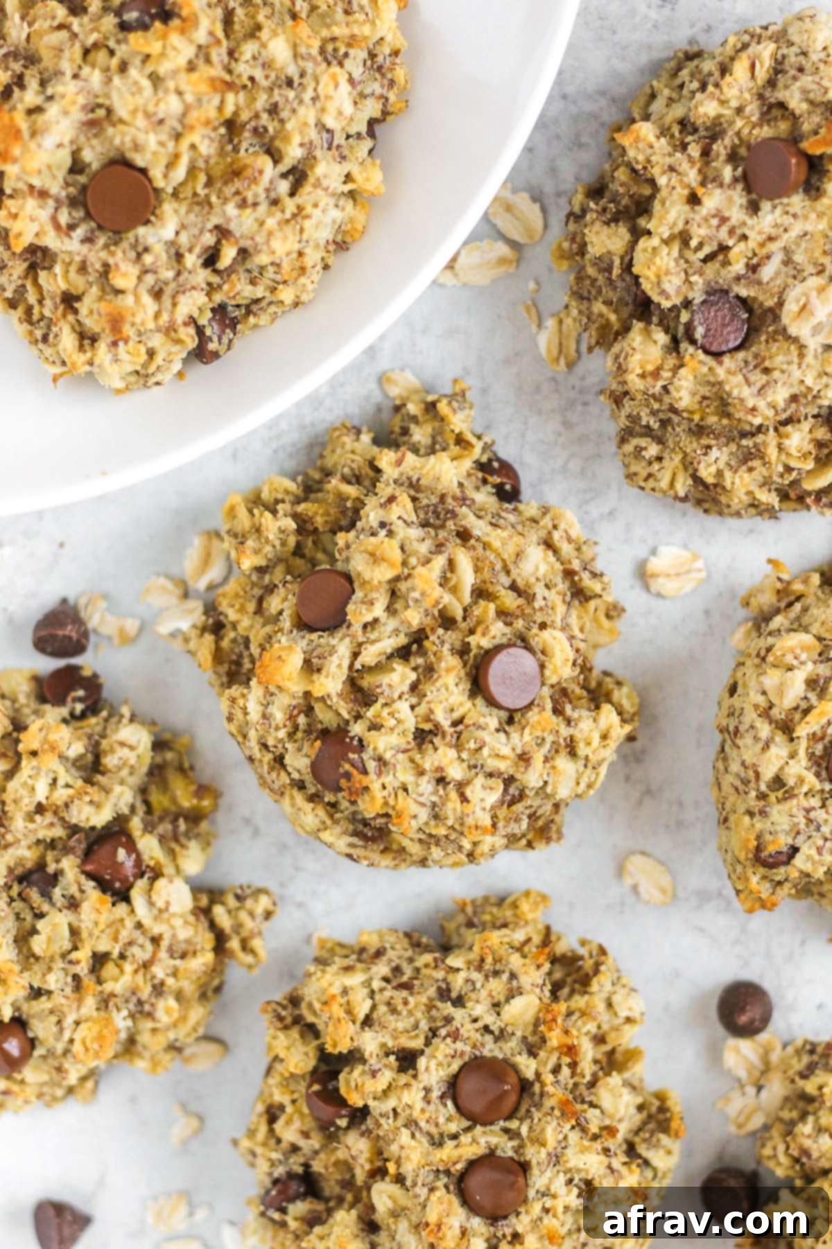 Array of oatmeal breakfast cookies with chocolate chips on a rustic gray surface, ready to be enjoyed.