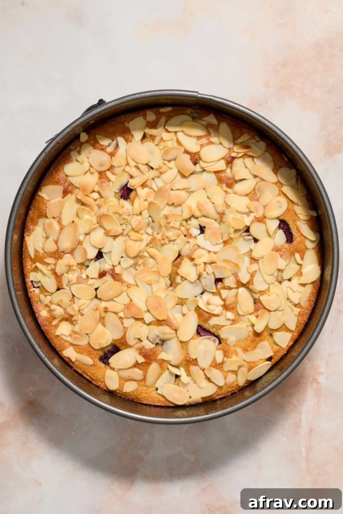 Baked cherry almond cake in springform pan.
