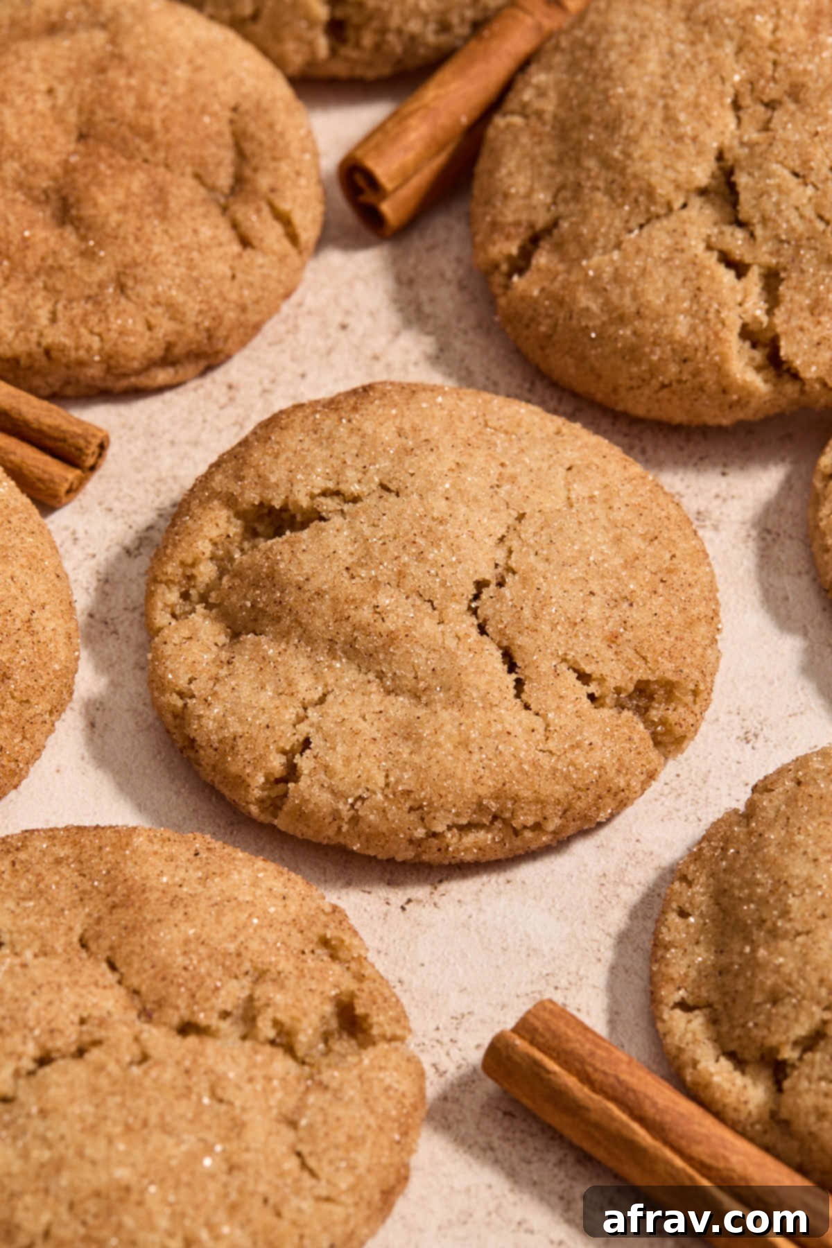 Close up shot of a single perfectly baked almond flour snickerdoodle cookie, highlighting its soft texture and crackled cinnamon sugar surface.