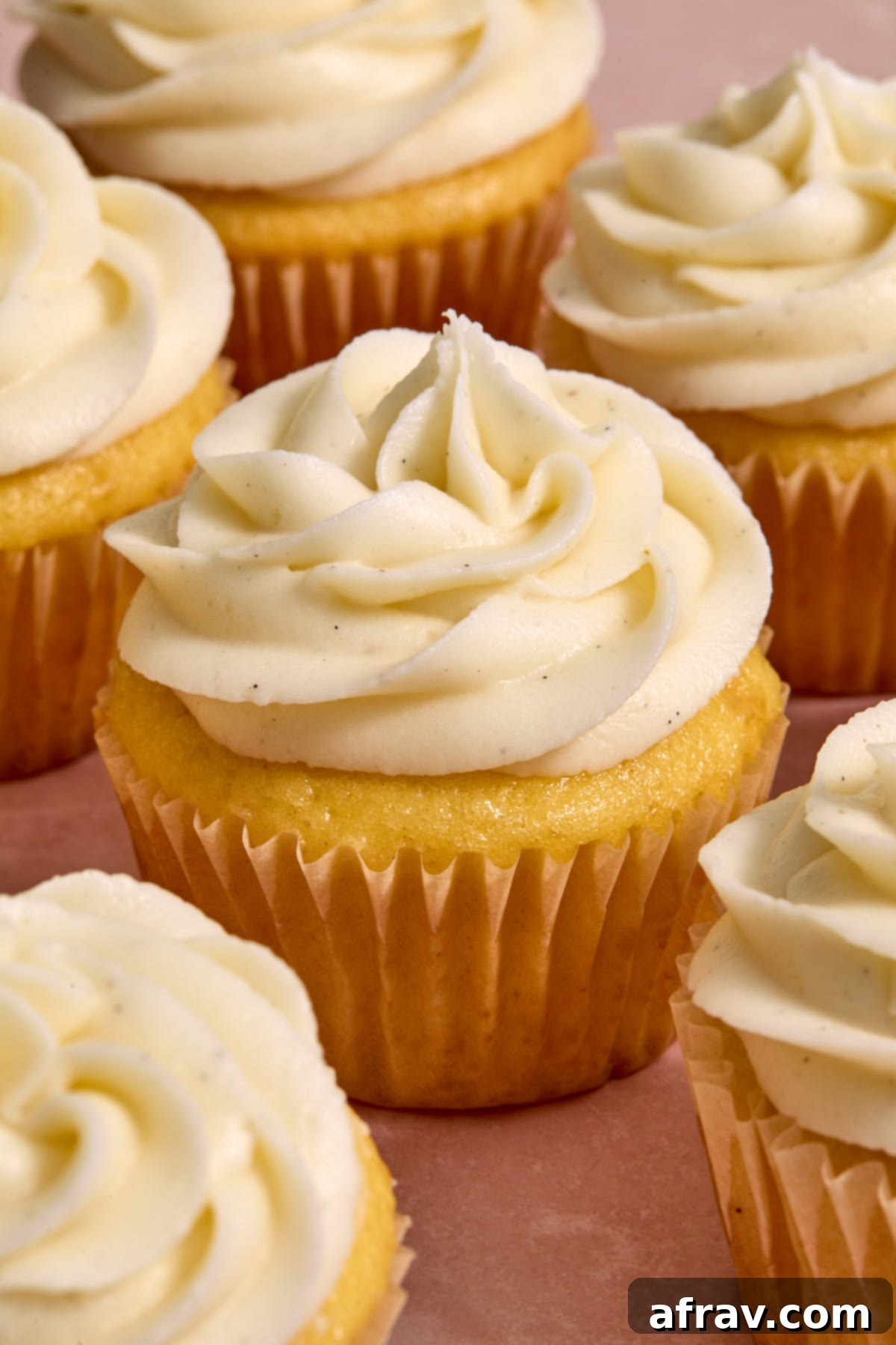 A perfectly swirled mound of creamy vanilla bean sour cream frosting adorns the top of a cupcake, ready to be enjoyed.