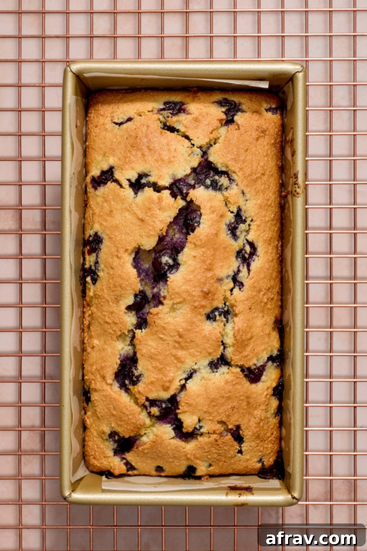 Bread baked in a loaf pan and resting on a wire rack.