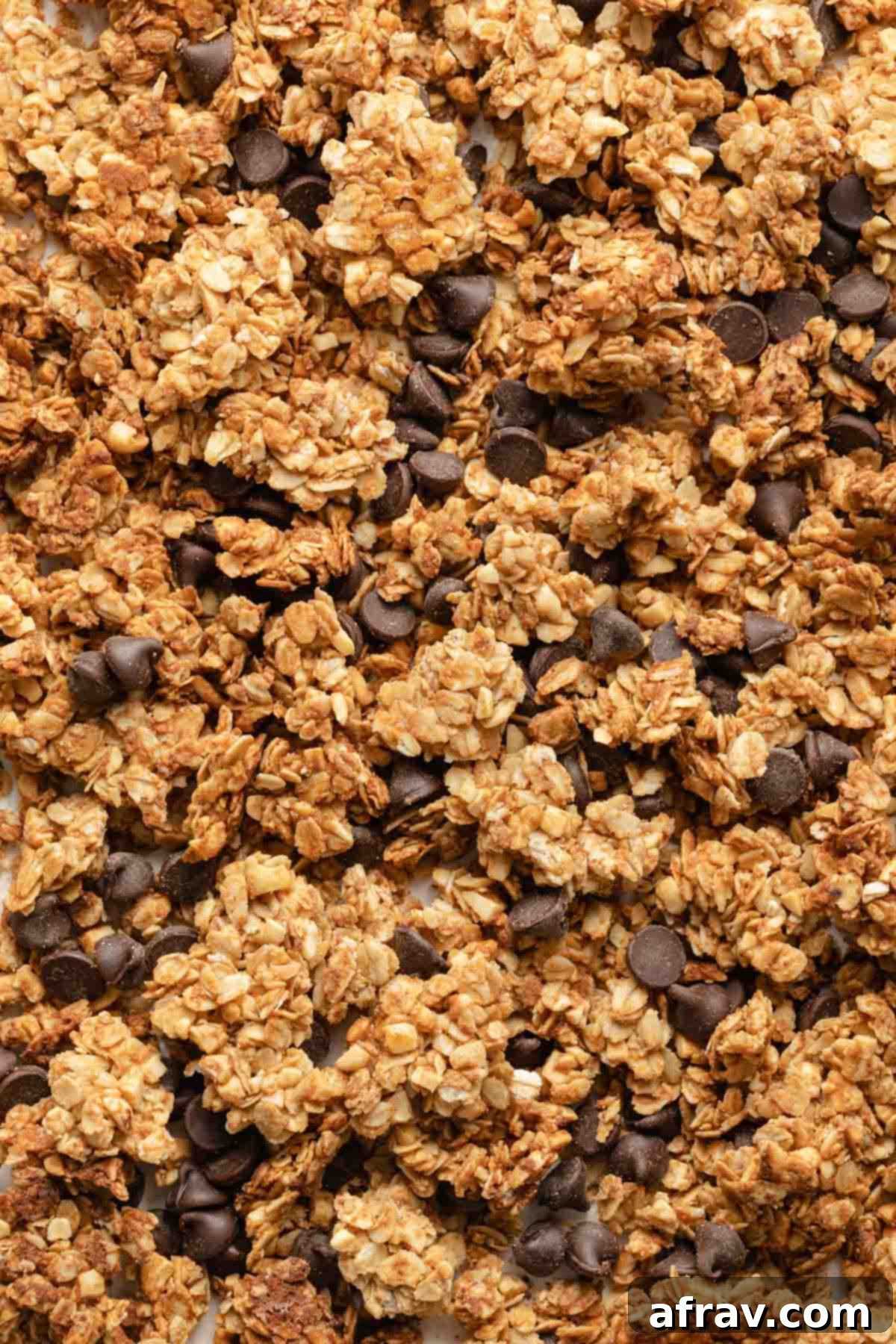 Close-up of crunchy granola clusters mixed with dark chocolate chips, ready to be enjoyed.