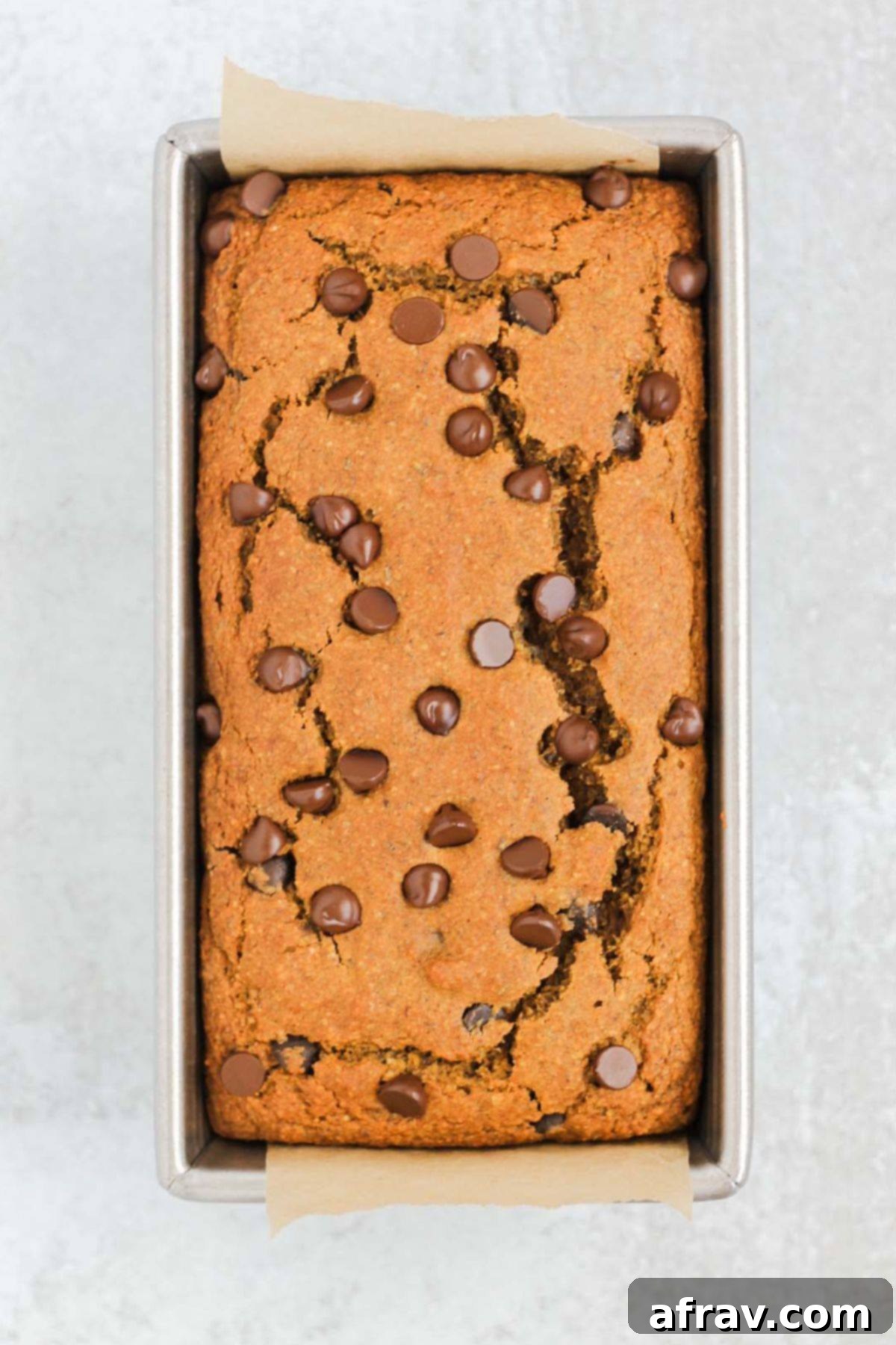 Irresistible Gluten Free Chocolate Chip Pumpkin Bread 9 Loaf pan with freshly baked gluten-free pumpkin chocolate chip bread, golden brown and risen.