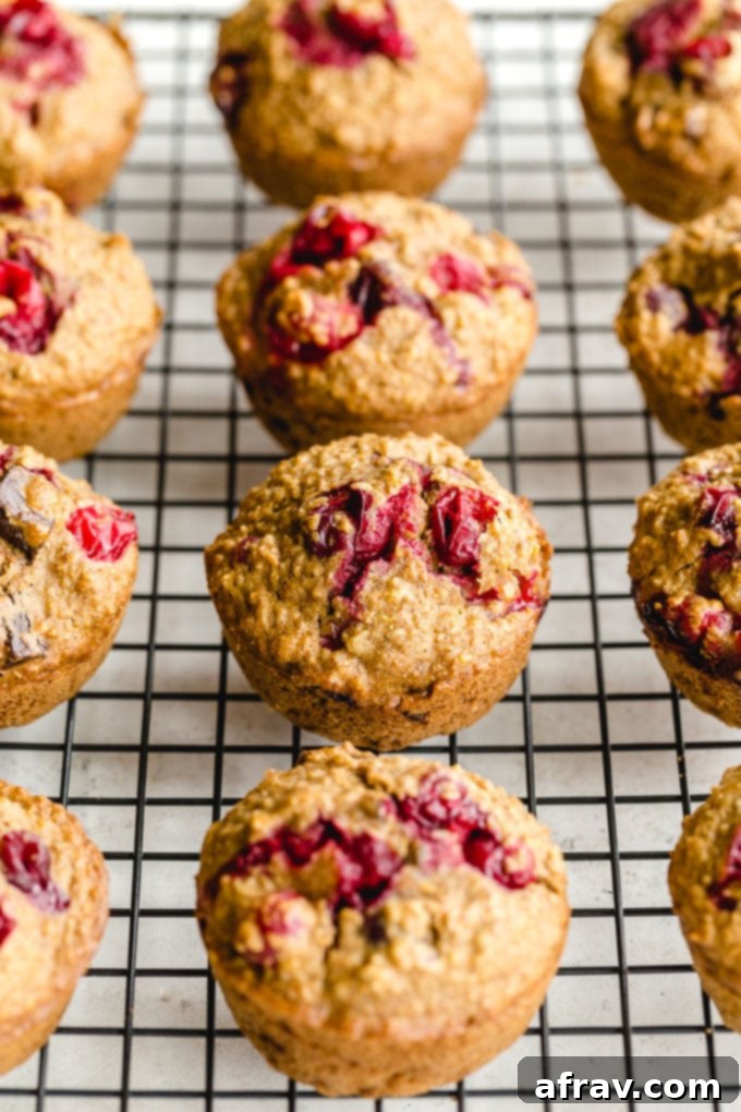 Festive Cranberry Oatmeal Muffins with orange and chocolate.