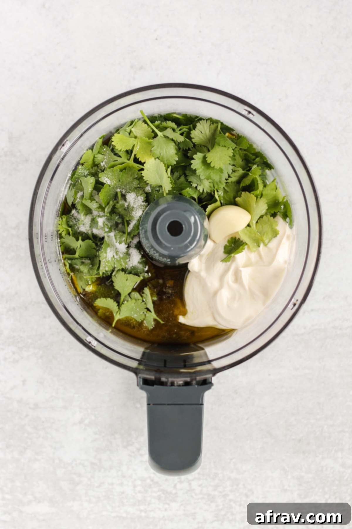 Yogurt, garlic, cilantro, salt, and olive oil in a food processor.
