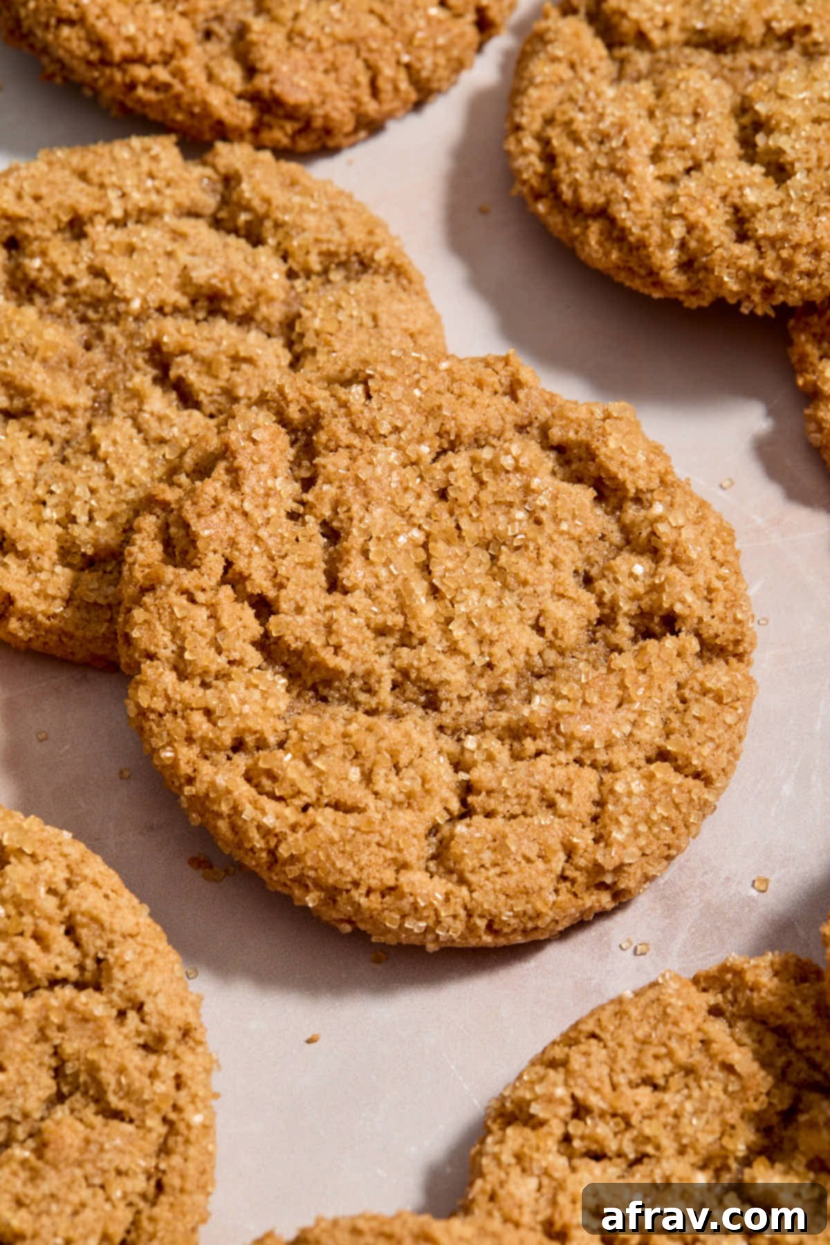 Close up shot of a golden-brown cookie butter cookie generously coated with coarse sugar.