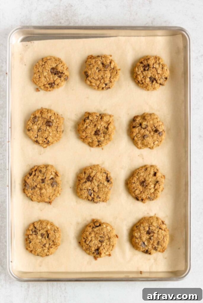 Effortless Coconut Flour Oatmeal Delights 6 Freshly baked oatmeal cookies on a cookie sheet, showing their golden brown edges.
