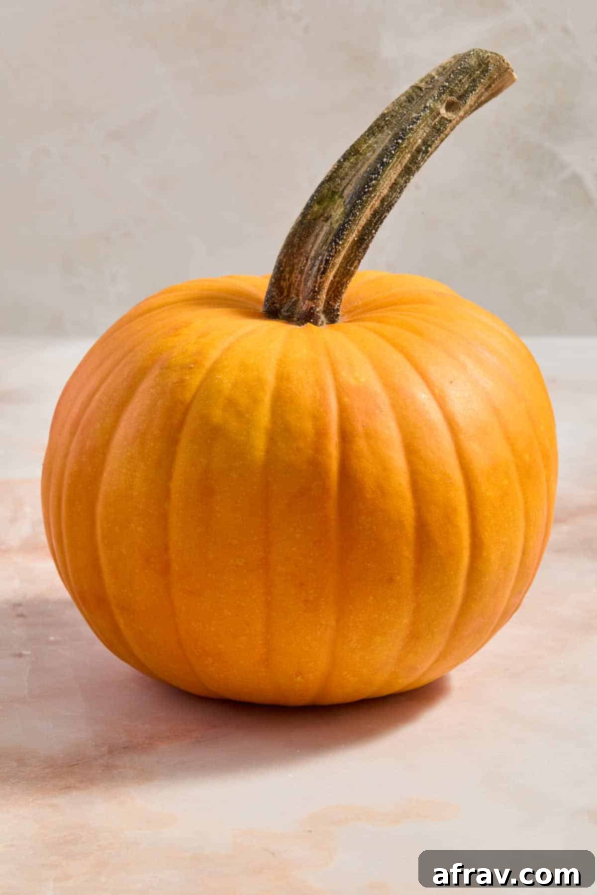Side view of a smaller, round pie pumpkin, also known as a sugar pumpkin, ideal for baking.