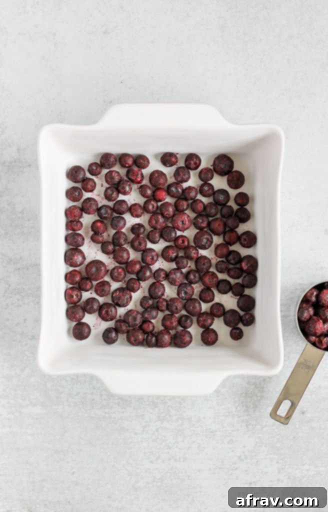 Overhead view of fresh blueberries evenly arranged at the bottom of a white square baking dish