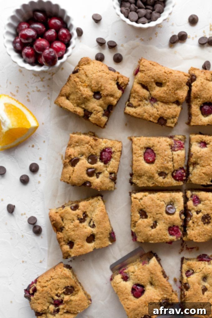 Cranberry Chocolate Chip Cookie Bars, a simple and festive twist on a classic small batch treat.
