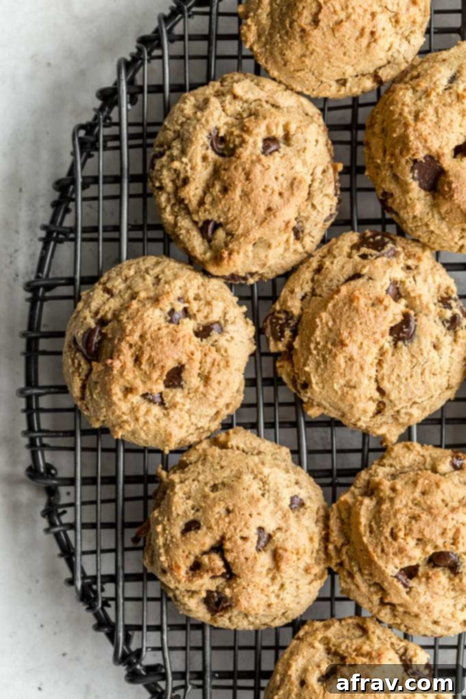 Cookie Butter Chocolate Chip Cookies with toasted coconut, a delightful small batch treat for any time.