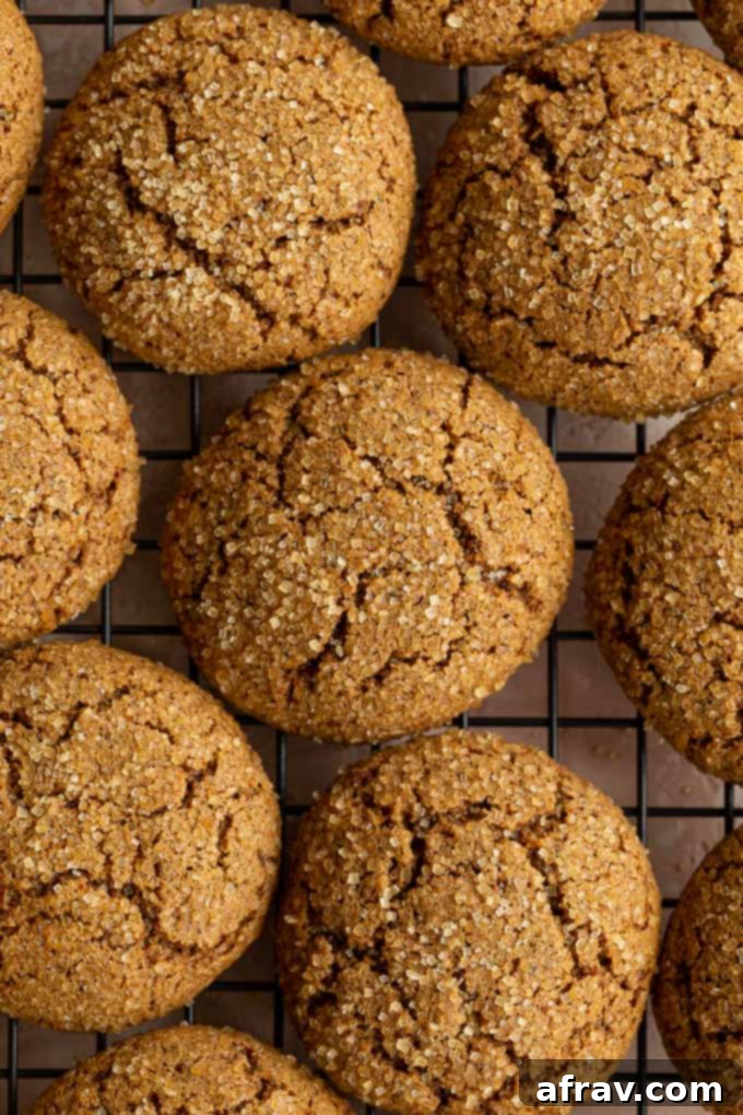 Ginger Molasses Cookies with crackled tops